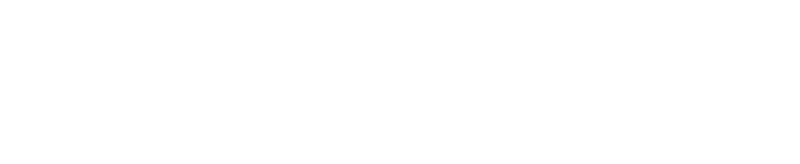 PDI White Logo